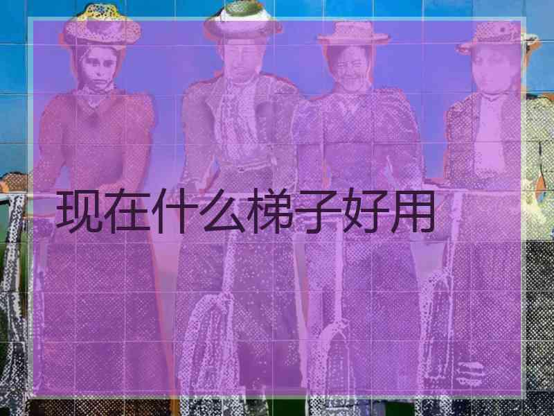 现在什么梯子好用