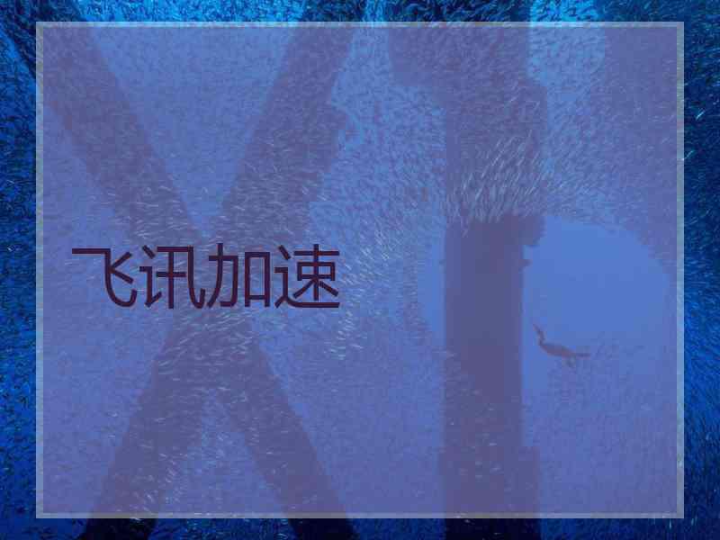 飞讯加速