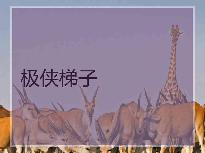 极侠梯子