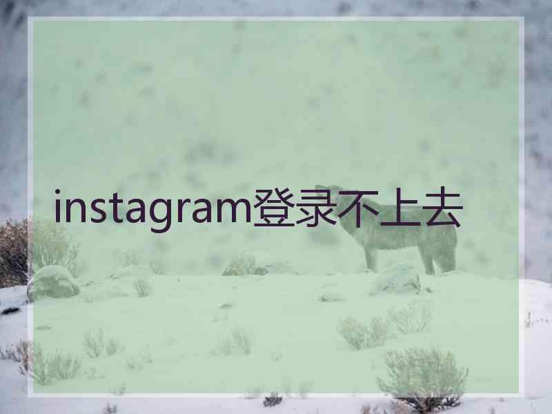 instagram登录不上去
