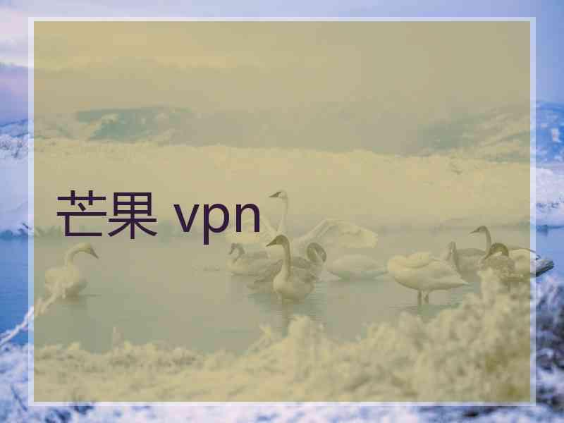 芒果 vpn