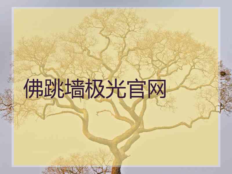 佛跳墙极光官网