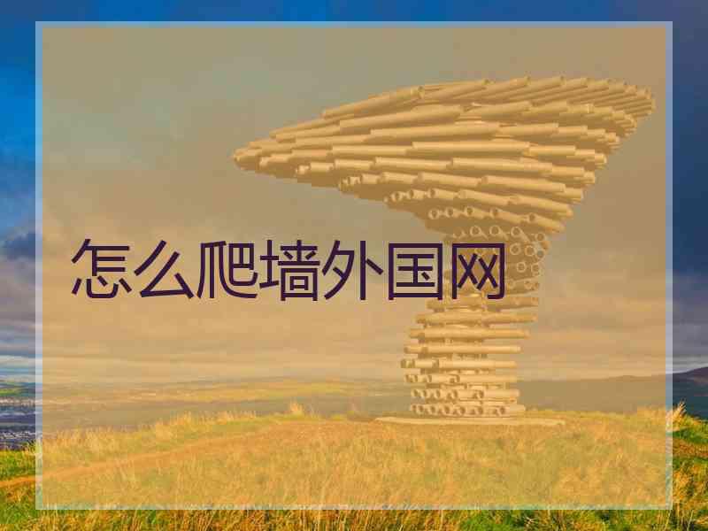 怎么爬墙外国网
