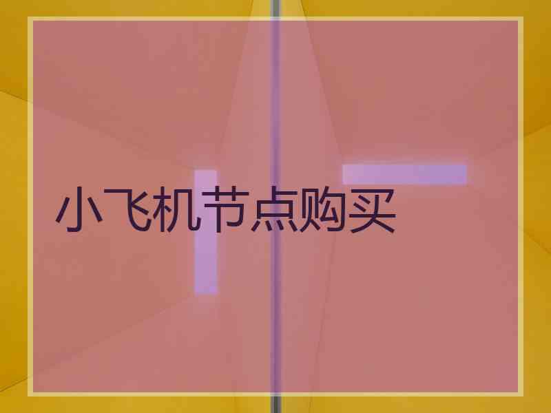 小飞机节点购买