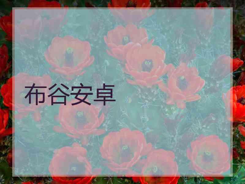 布谷安卓