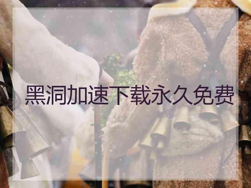 黑洞加速下载永久免费