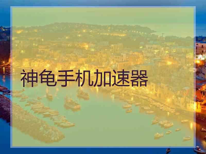 神龟手机加速器