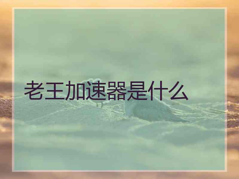 老王加速器是什么