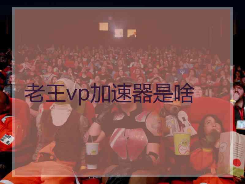 老王vp加速器是啥
