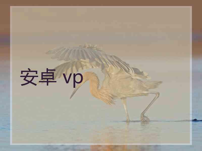 安卓 vp