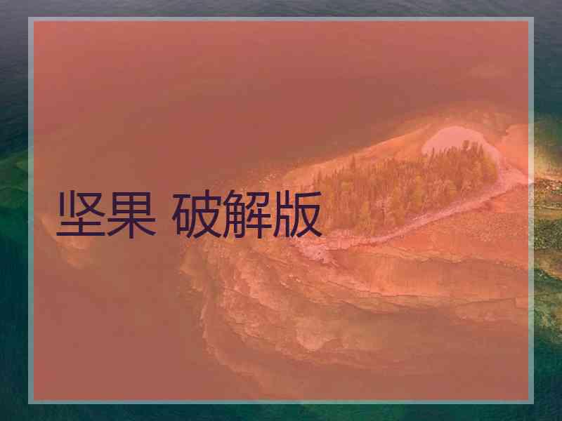 坚果 破解版