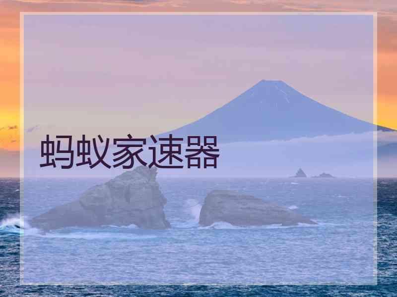 蚂蚁家速器