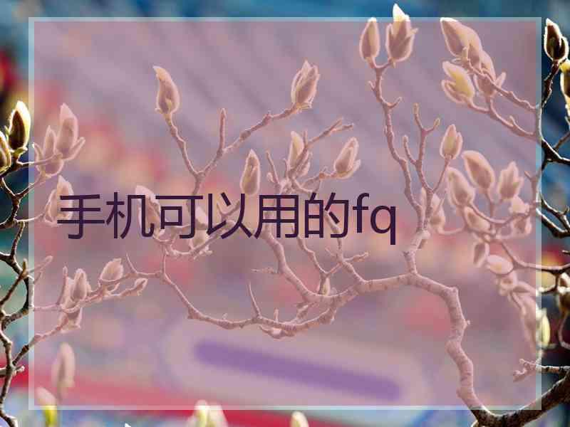 手机可以用的fq