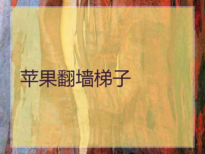 苹果翻墙梯子