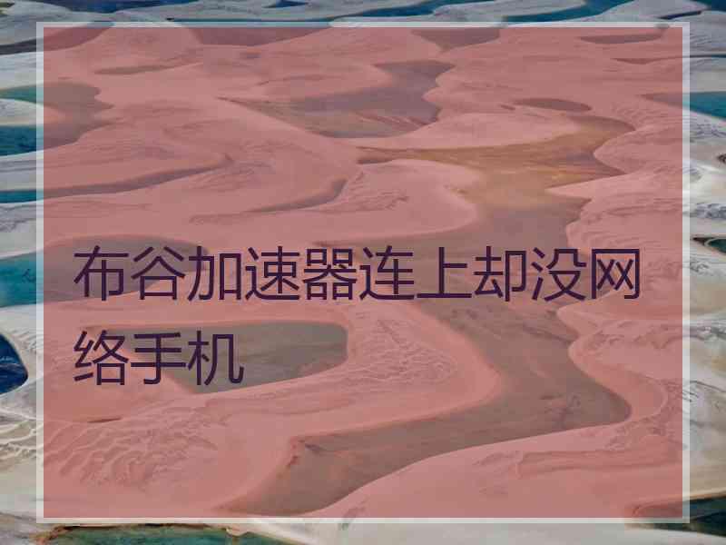 布谷加速器连上却没网络手机