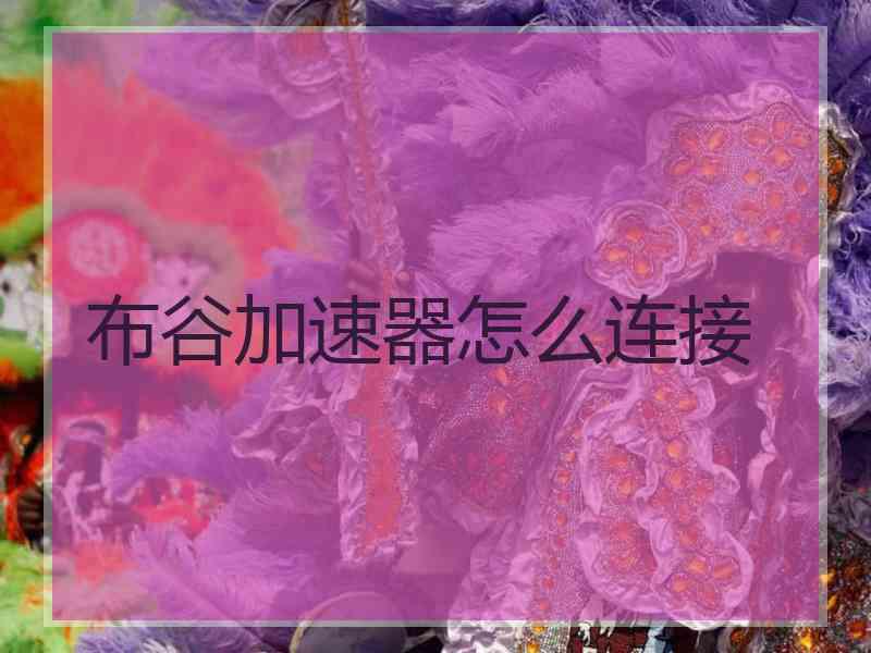 布谷加速器怎么连接