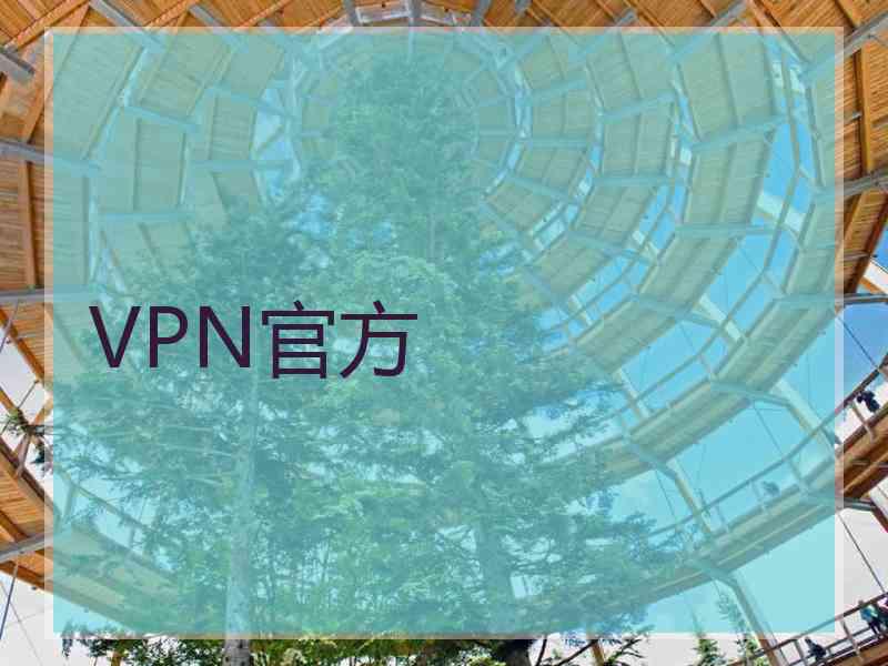 VPN官方