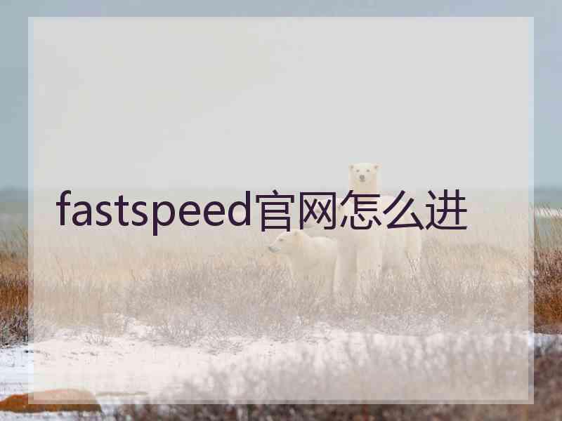 fastspeed官网怎么进