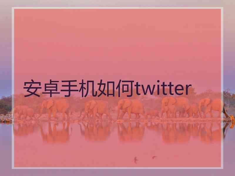 安卓手机如何twitter