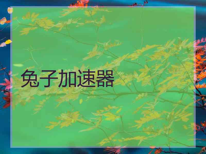 兔子加速器