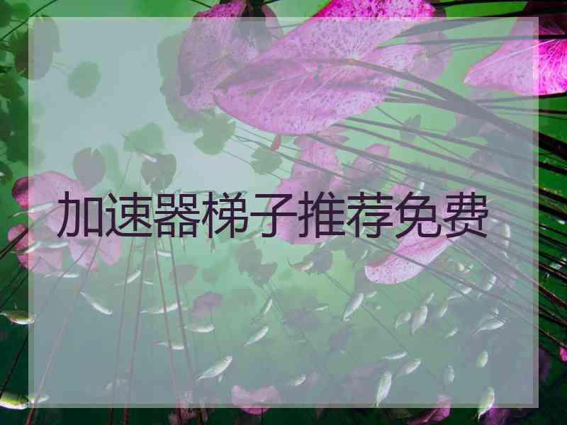 加速器梯子推荐免费