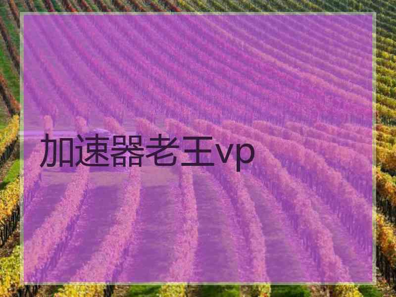 加速器老王vp