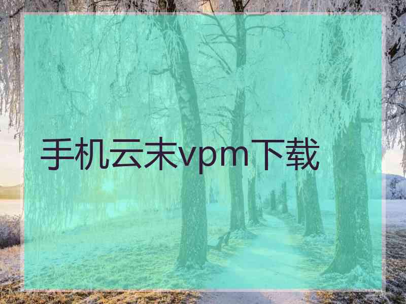 手机云末vpm下载