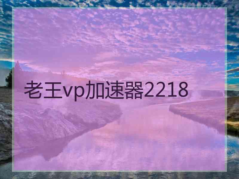 老王vp加速器2218