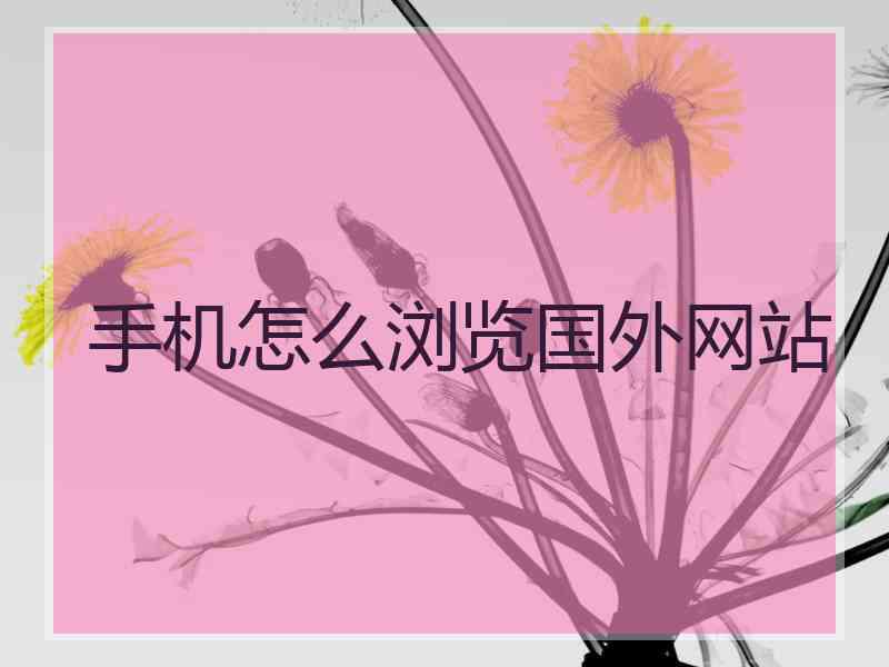 手机怎么浏览国外网站
