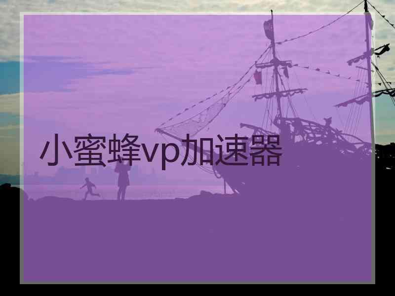 小蜜蜂vp加速器