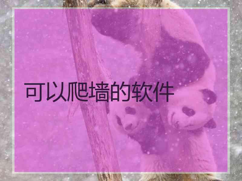 可以爬墙的软件