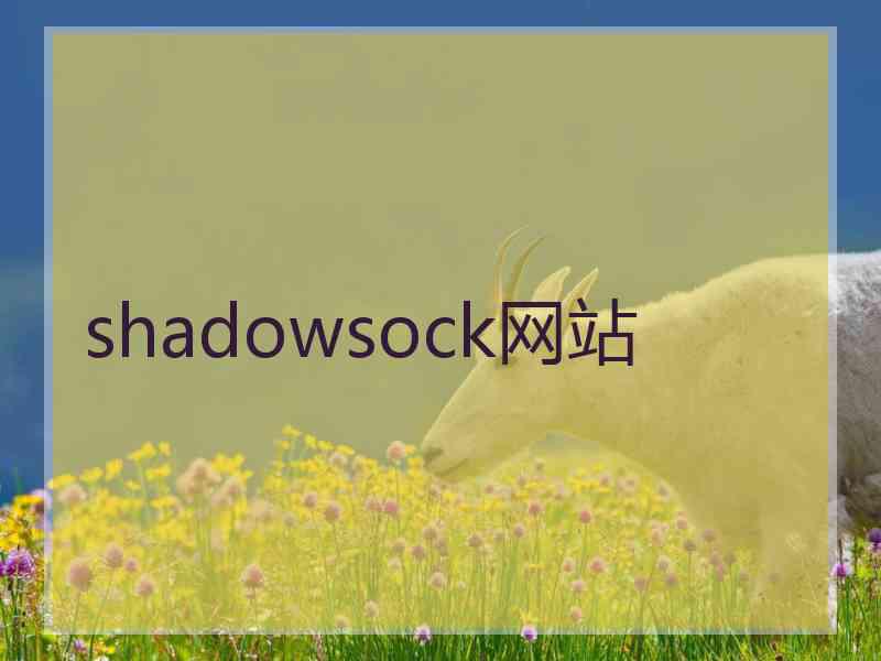 shadowsock网站