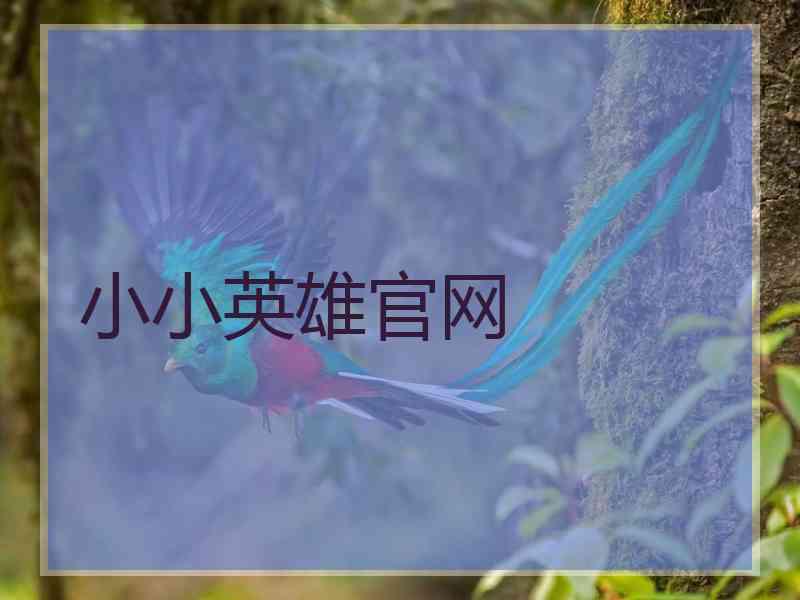 小小英雄官网