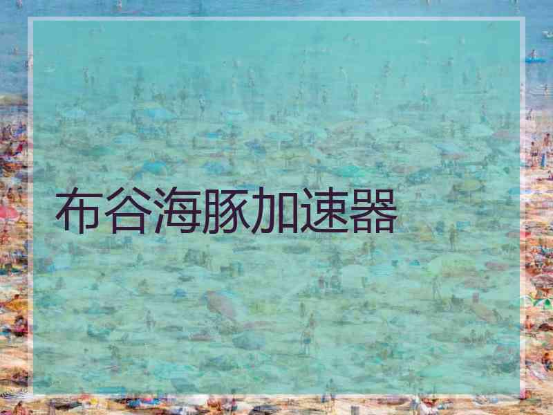 布谷海豚加速器