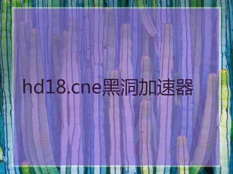 hd18.cne黑洞加速器