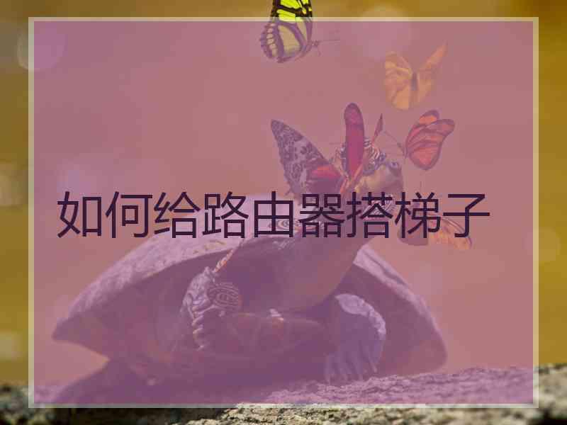 如何给路由器搭梯子