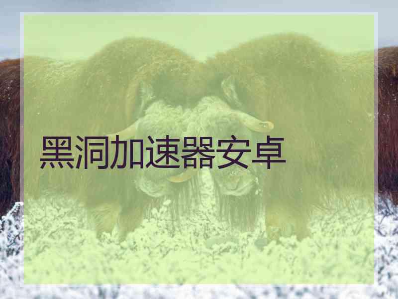 黑洞加速器安卓