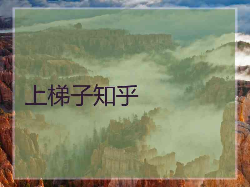 上梯子知乎