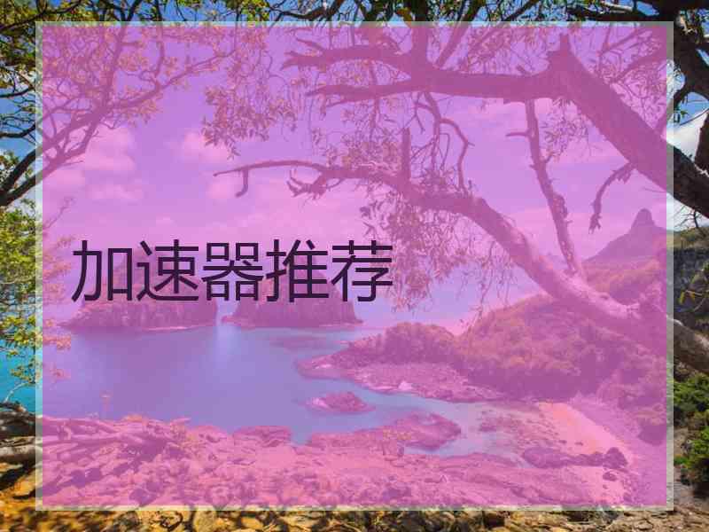 加速器推荐