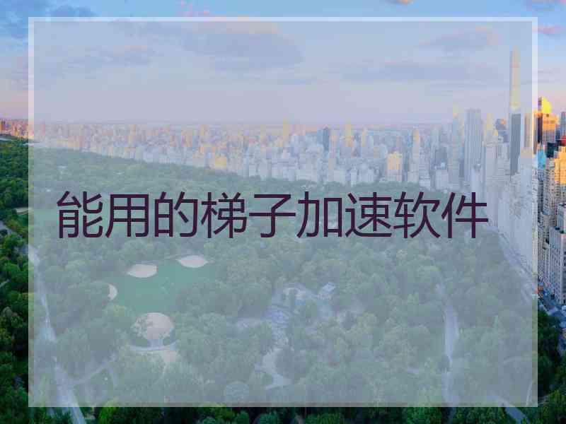 能用的梯子加速软件