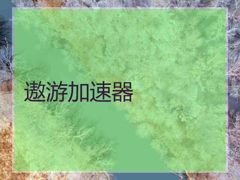 遨游加速器