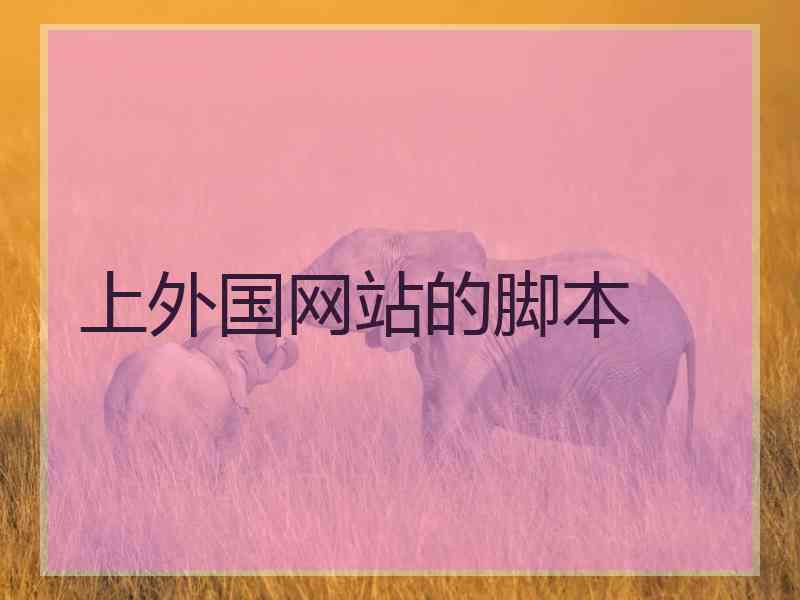 上外国网站的脚本