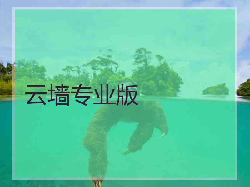 云墙专业版
