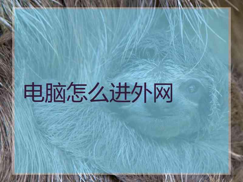 电脑怎么进外网