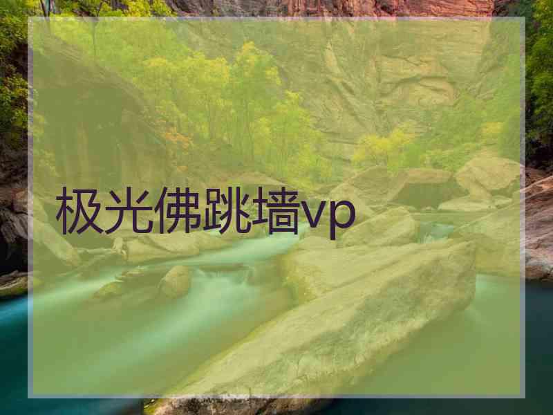 极光佛跳墙vp