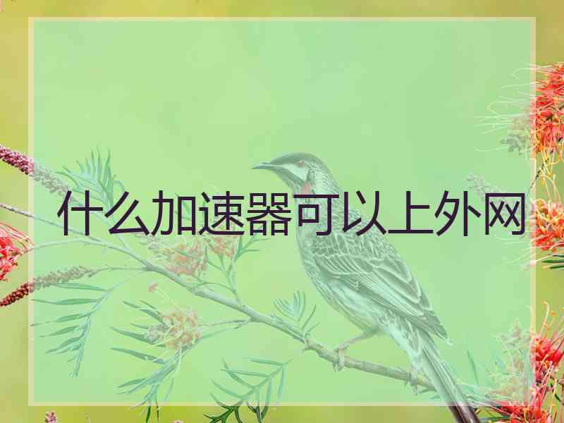 什么加速器可以上外网