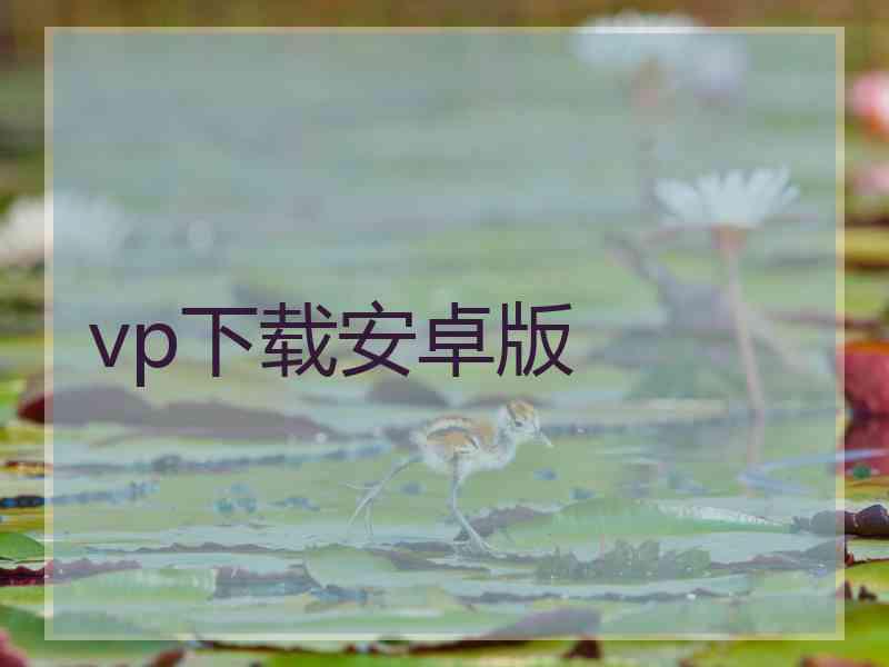 vp下载安卓版
