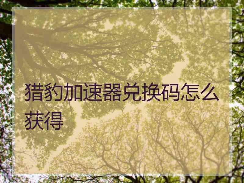 猎豹加速器兑换码怎么获得