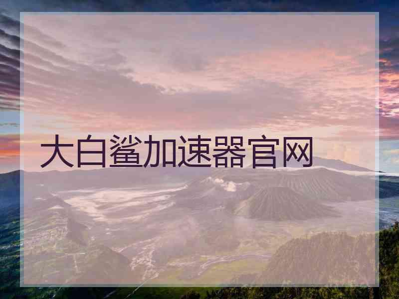 大白鲨加速器官网
