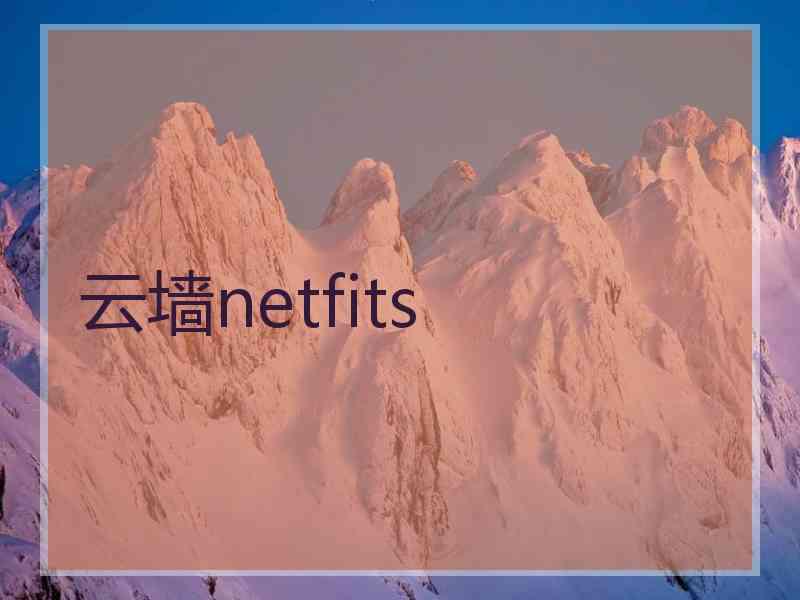 云墙netfits
